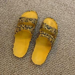 Freedom Moses python slides